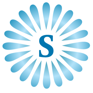 Saral Information Technology