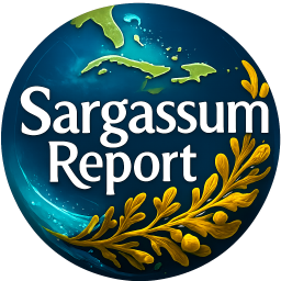 Sargassum Report