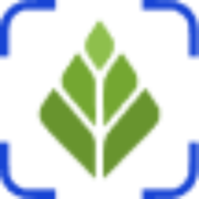 Scalion