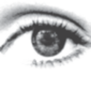 ScanSpraakPen