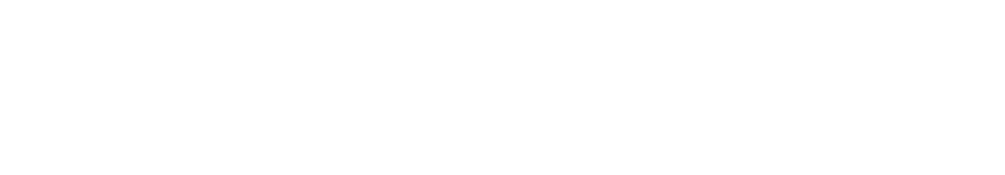 Scenario