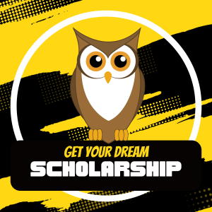 ScholarshipsOwl