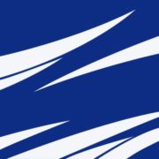 Specialized Data Systems