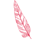 SchreibMirEinenBrief