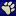 ScoutTrack