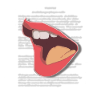 Script Rehearser