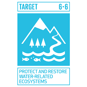 SDG Water Quality Hub