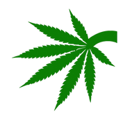 Seed & Beyond