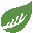 SeedLanding
