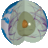 SeisMan