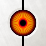 Sentry Pro