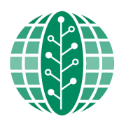 Sesi Technologies