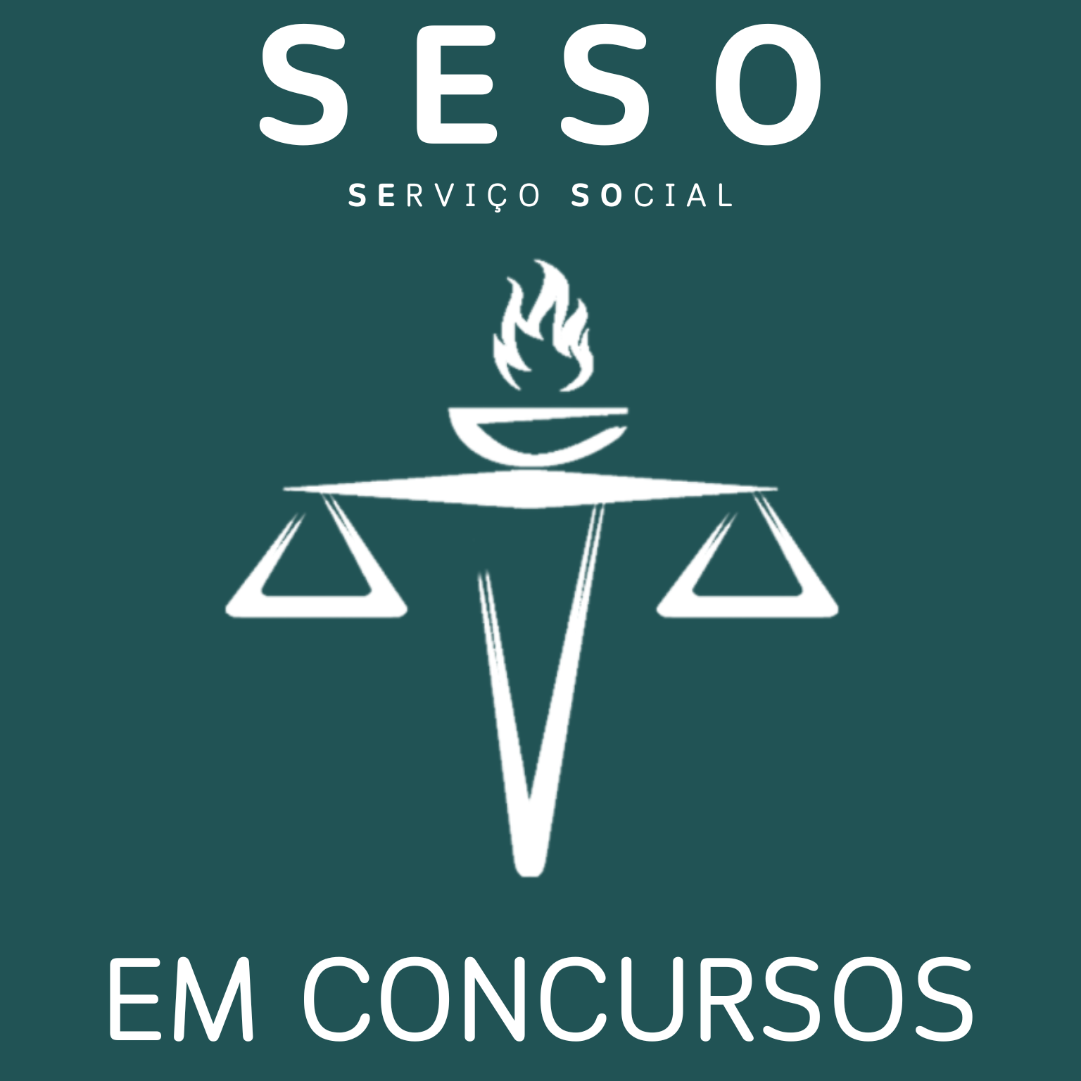 SESO em Concursos