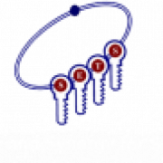 Society for Electronic Transactions and Security