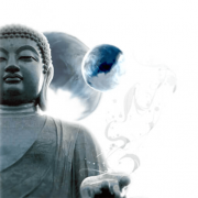 Seventh Life Path