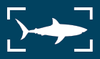 SharkEye