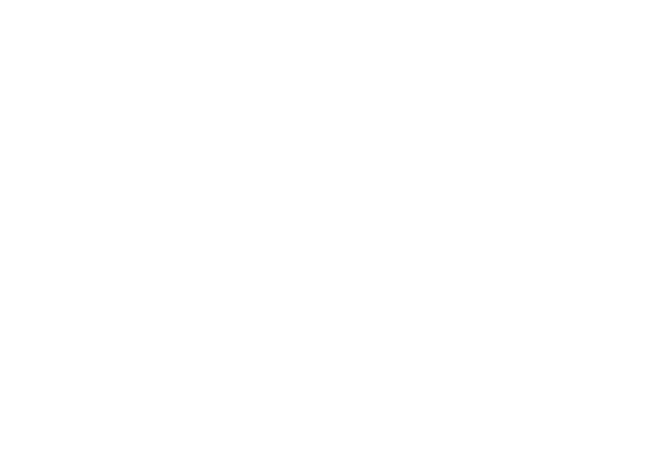Sharks Investment