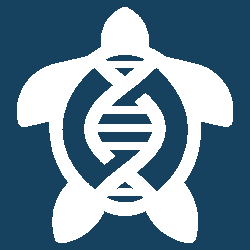 ShellBank Project