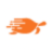 Shipturtle