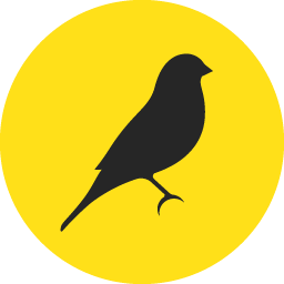 Shower Canary