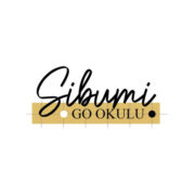 Şibumi Go Okulu