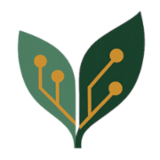 Silvervine Software