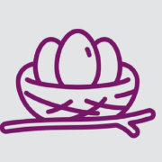 Simple Wills Australia