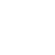 Simplygon