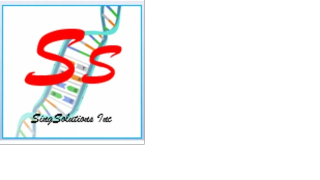 SingSolutions Inc