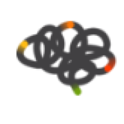 Singular Brain