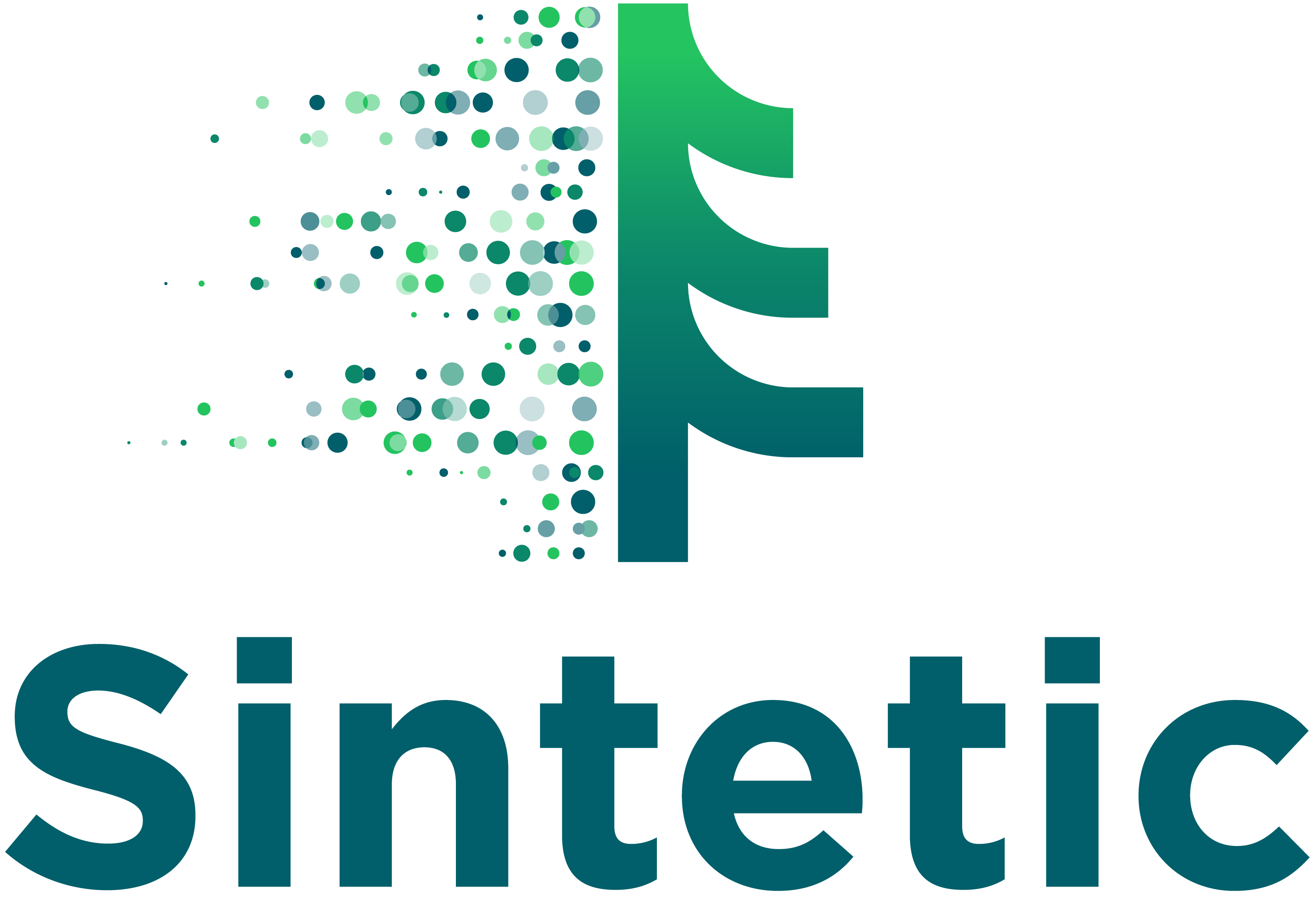 Sintetic Project