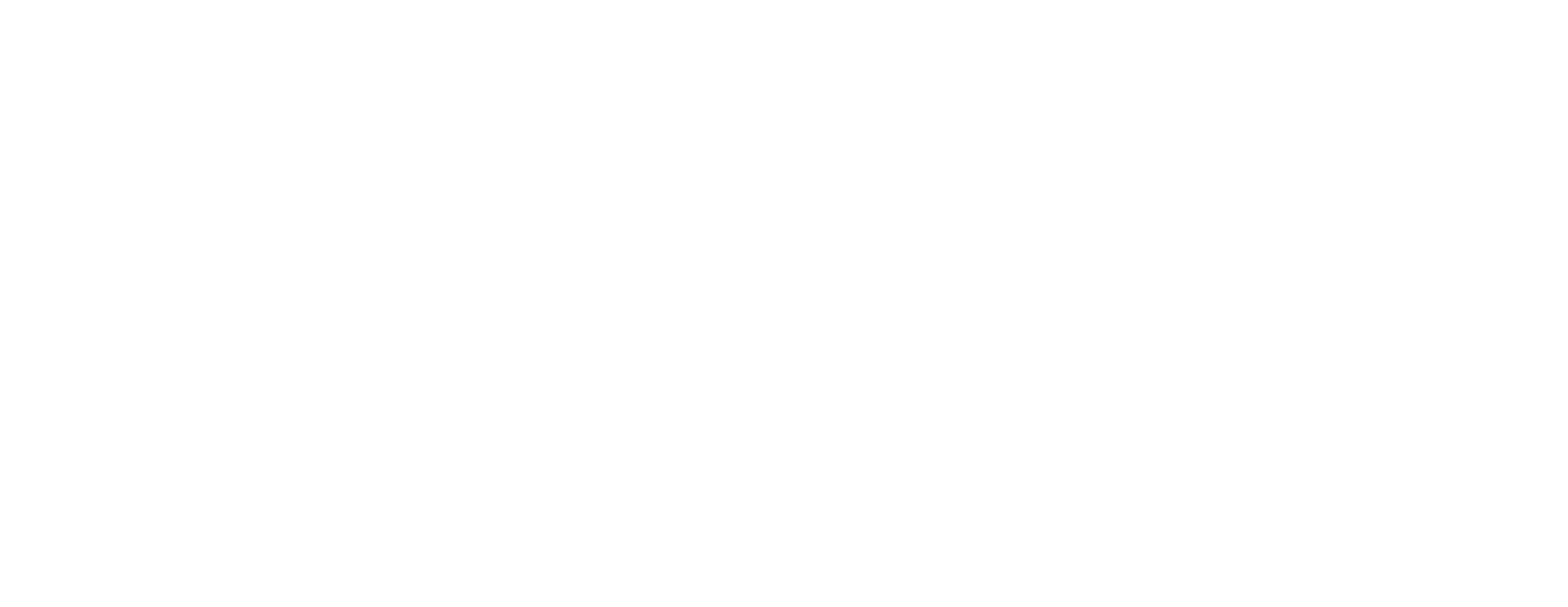 Sirena Travel