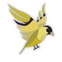 Siskin IM