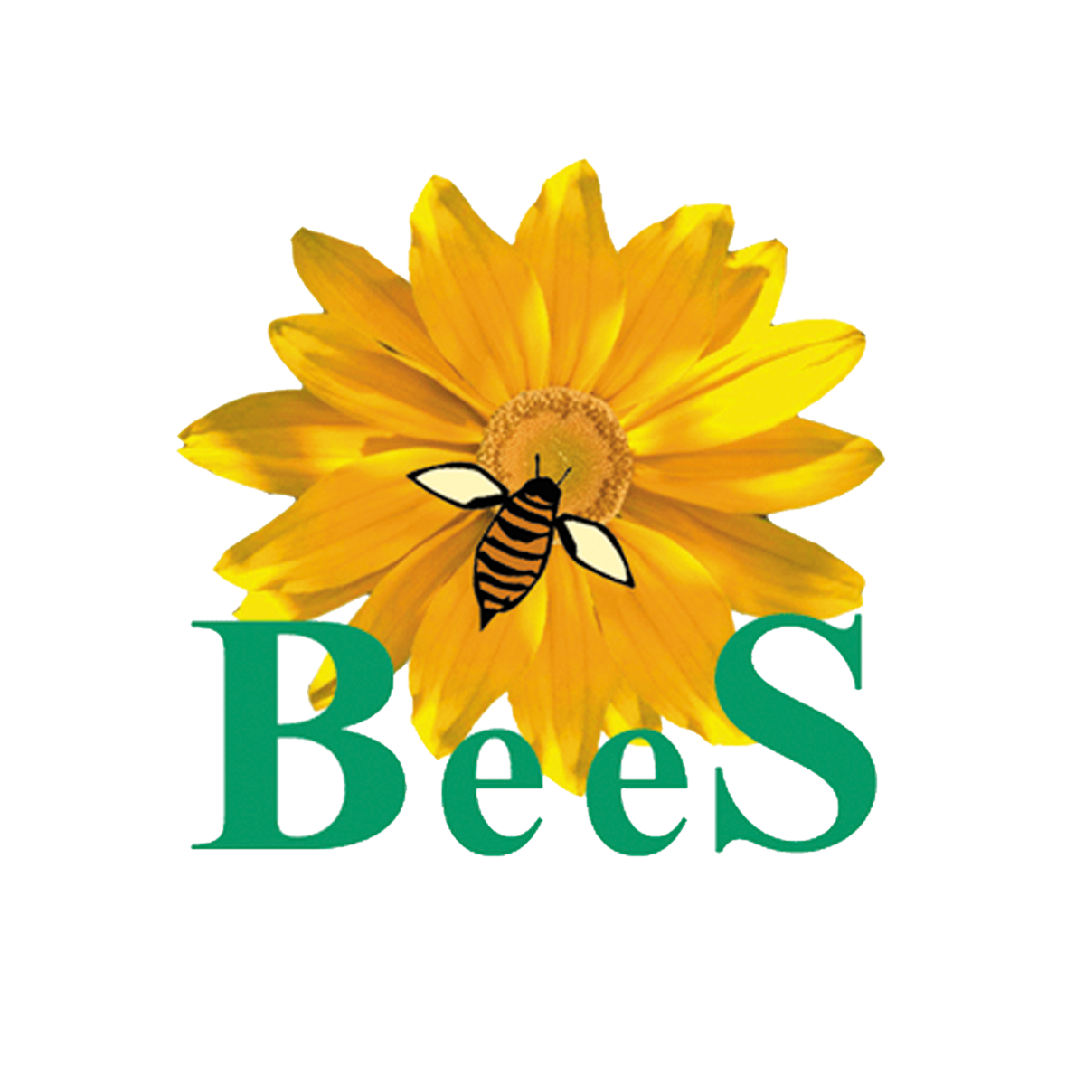 BeeS Software Solutions