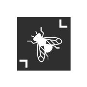 SizeFly