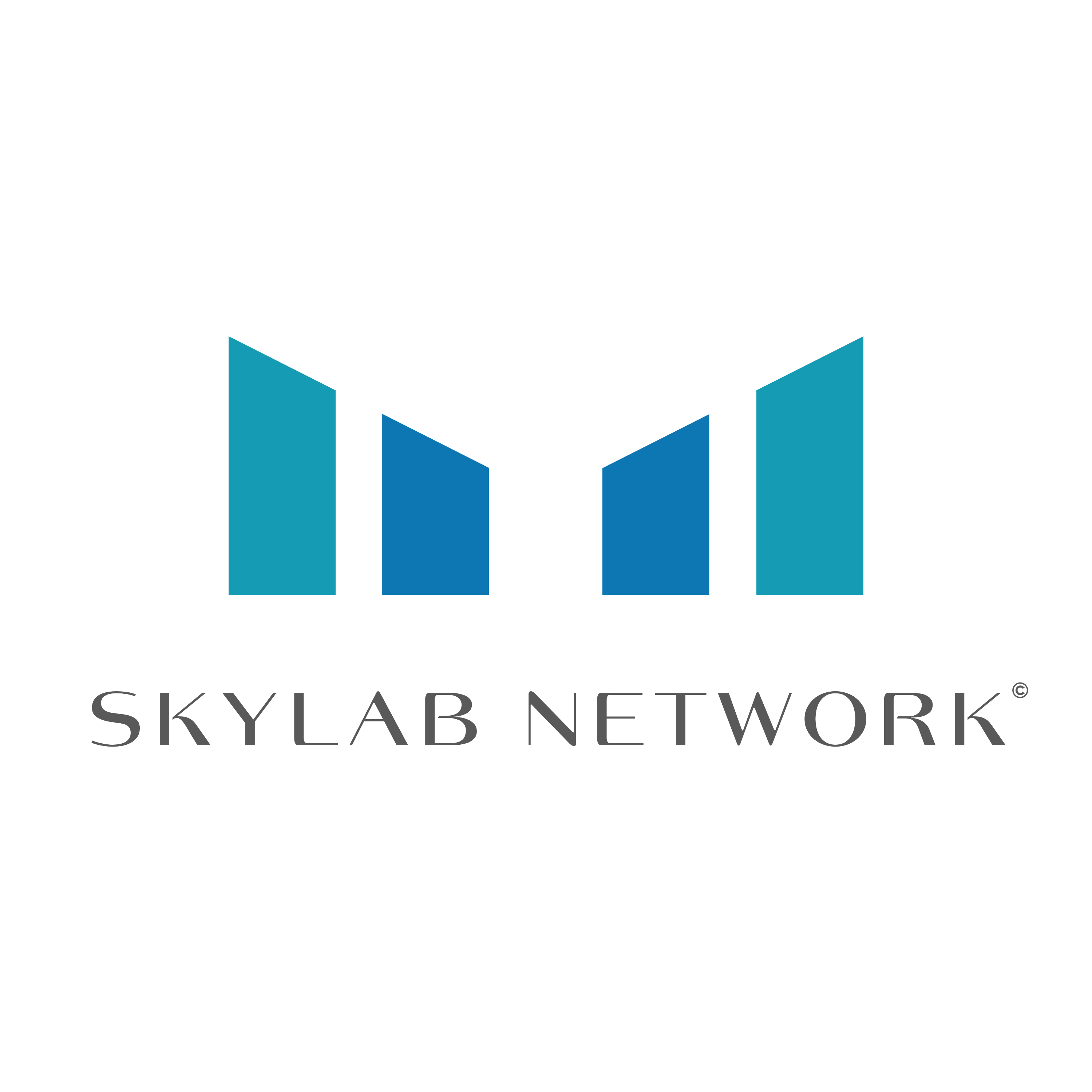 SKYLAB NETWORK