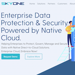 SkyOne