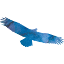 SkySight
