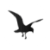 SkyVoice