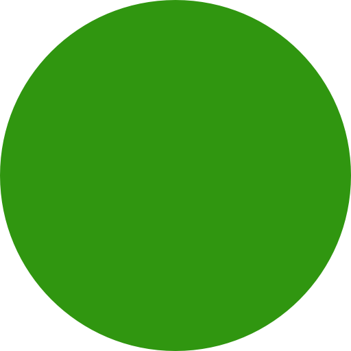 Slack Green