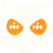 SleeperVision