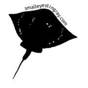 Smalleye Stingray
