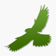 SmartBirds