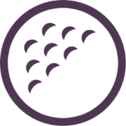 SmartGolfInfo