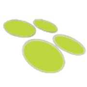 SMG Infosolutions