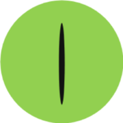 snakeDB