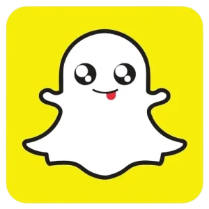 Snapchat Story Viewer
