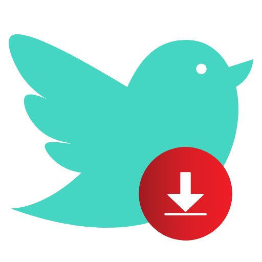 SnapTwt