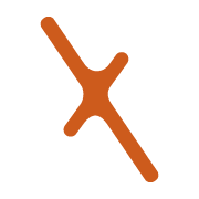 Snexi