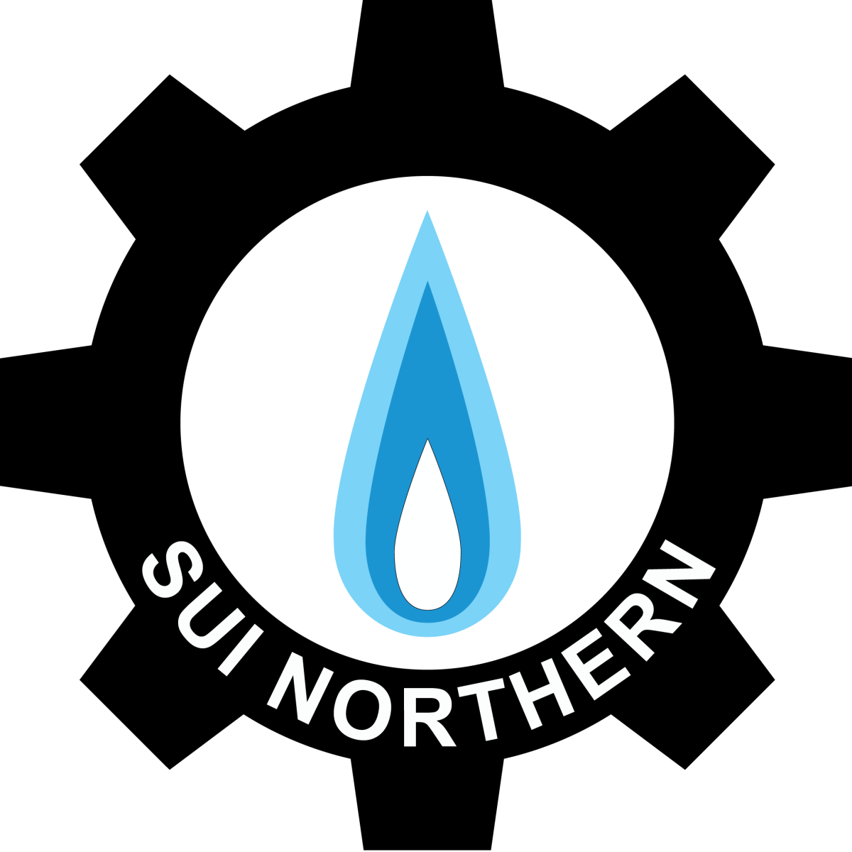 SNGPL Bill Check Online